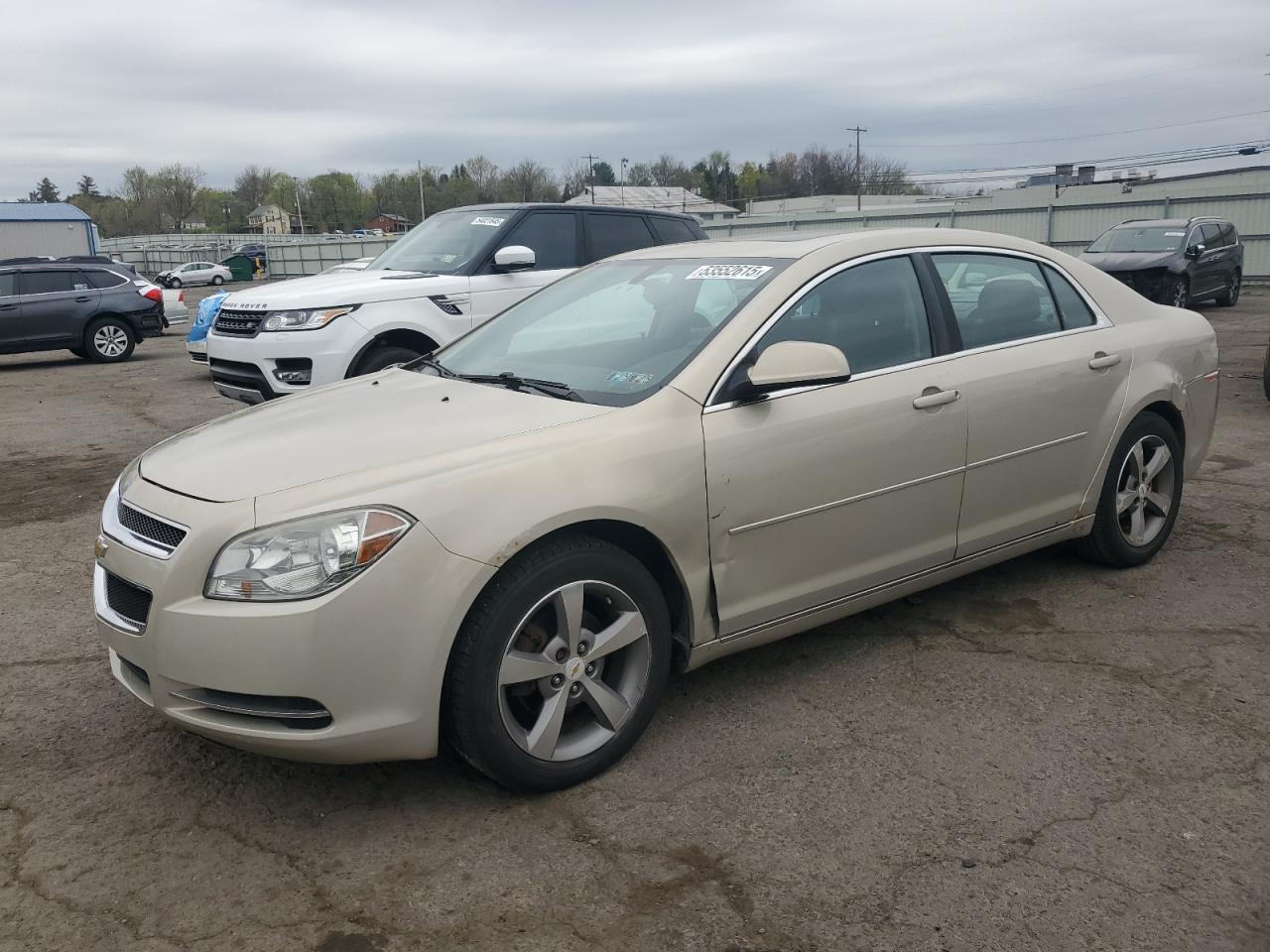 CHEVROLET MALIBU 1LT