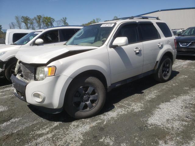 Vin: 1fmcu0eg9bkc42666, lot: 51491435, ford escape limited 2011 img_1