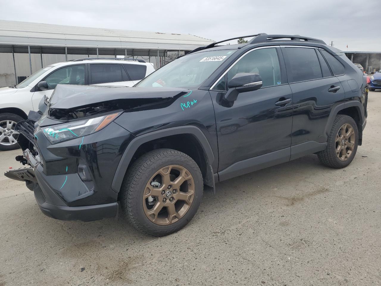 TOYOTA RAV4 WOODLAND EDITION