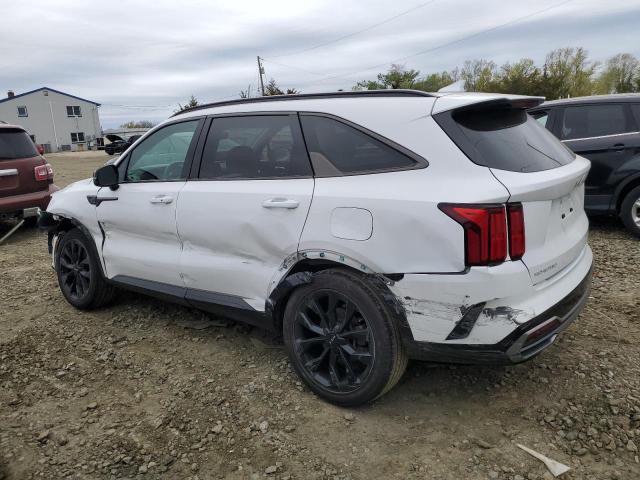 Vin: 5xyrkdlf7pg250462, lot: 53336125, kia sorento sx 20232
