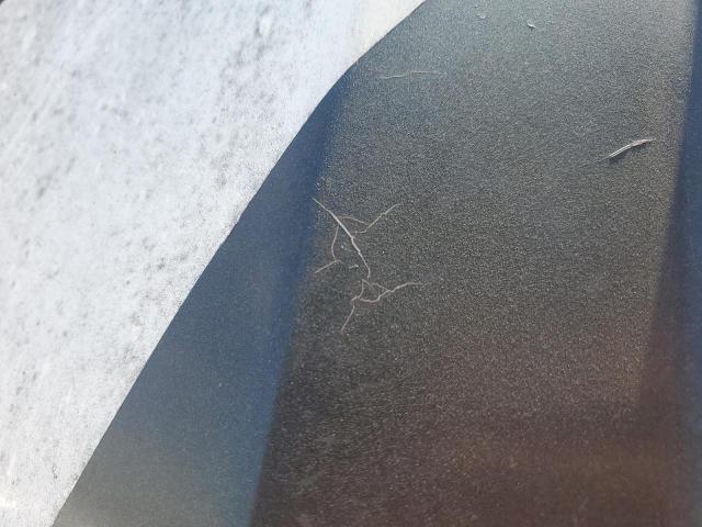 2021 NORTH COUNTRY TRAILER #3290028268