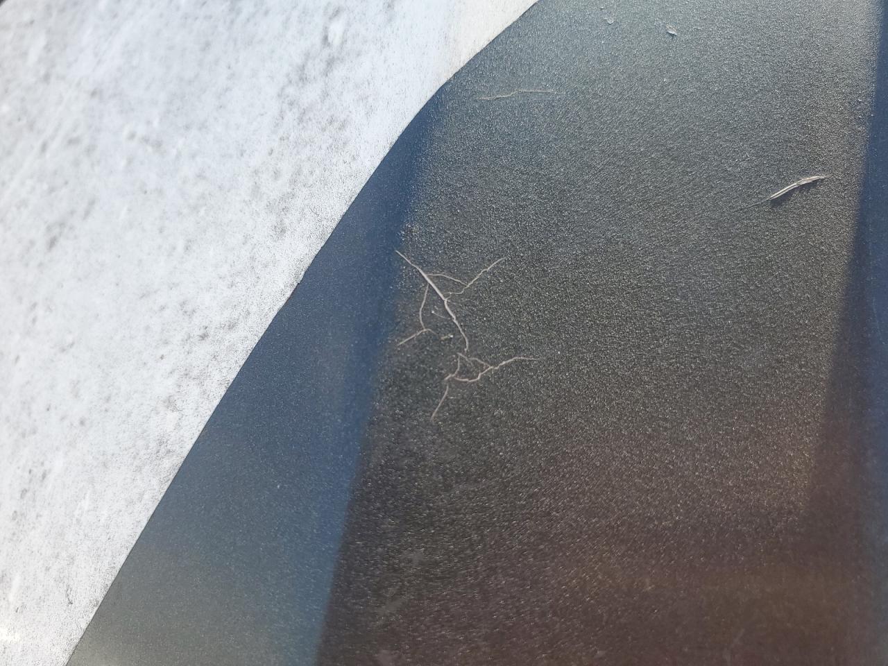 Lot #3290028268 2021 NORTH COUNTRY TRAILER