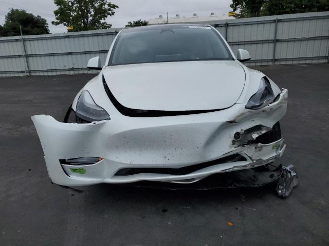 2023 TESLA MODEL Y - 7SAYGDEEXPF744472