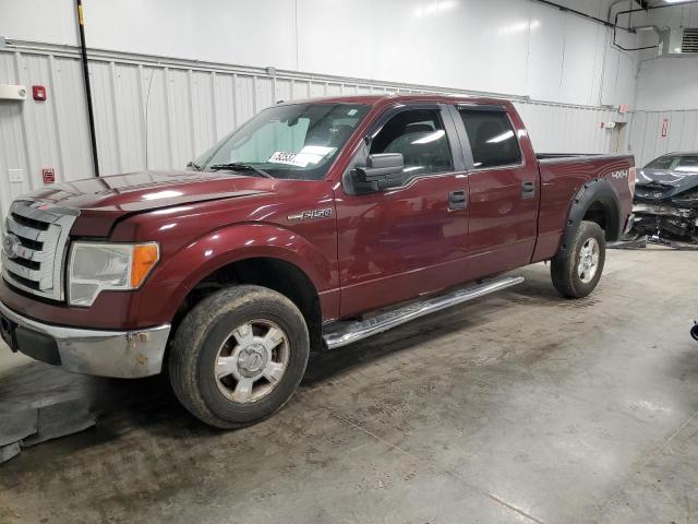 Vin: 1ftfw1e89afb63855, lot: 52537905, ford f-150 supercrew 2010 img_1