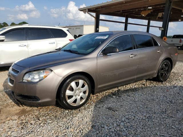 Vin: 1g1zb5e00cf210244, lot: 55132265, chevrolet malibu ls 2012 img_1