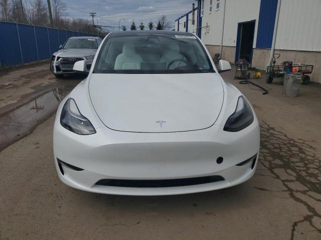2023 TESLA MODEL Y - LRWYGDEEXPC228734
