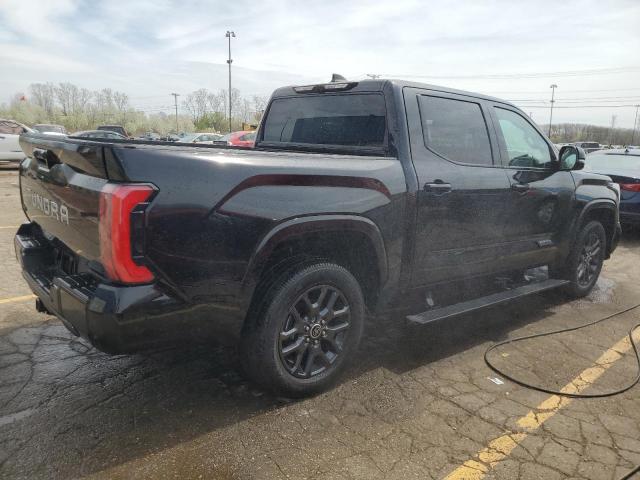 Vin: 5tfnc5dbxpx013832, lot: 54232575, toyota tundra crewmax platinum 20233