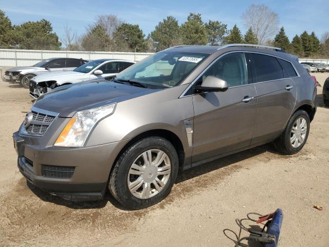 CADILLAC SRX LUXURY COLLECTION