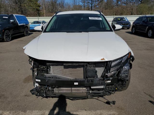 2024 HYUNDAI TUCSON BLU KM8JBCD13RU194897