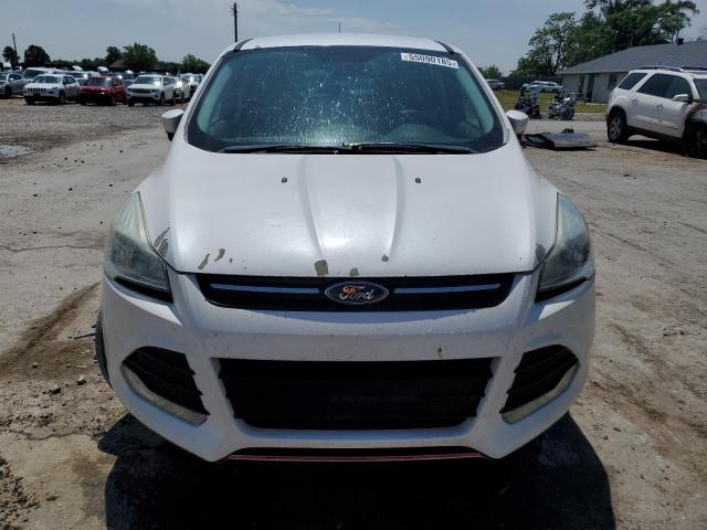 2016 FORD ESCAPE SE - 1FMCU0GX4GUC26769
