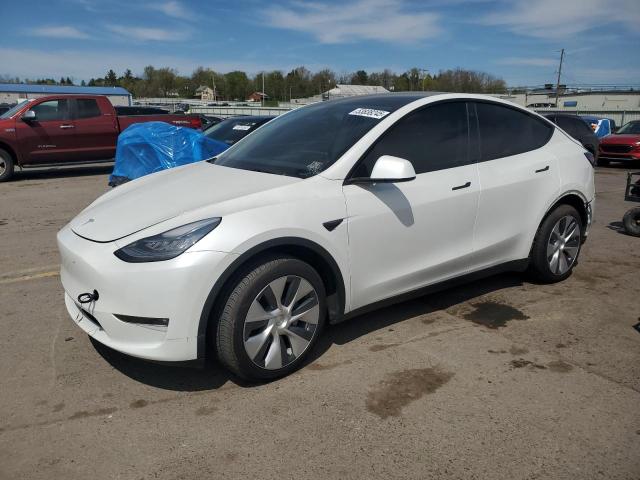 Vin: 5yjygdee3mf181192, lot: 53838245, tesla model y 2021 img_1