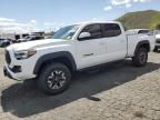 2021 TOYOTA TACOMA DOU - 3TMDZ5BNXMM117259