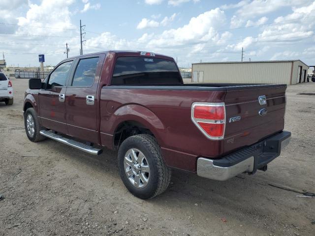 Vin: 1ftew1c85afc77835, lot: 53840385, ford f-150 supercrew 20102