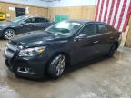 Top Destinations for Shipping Cars from the USA