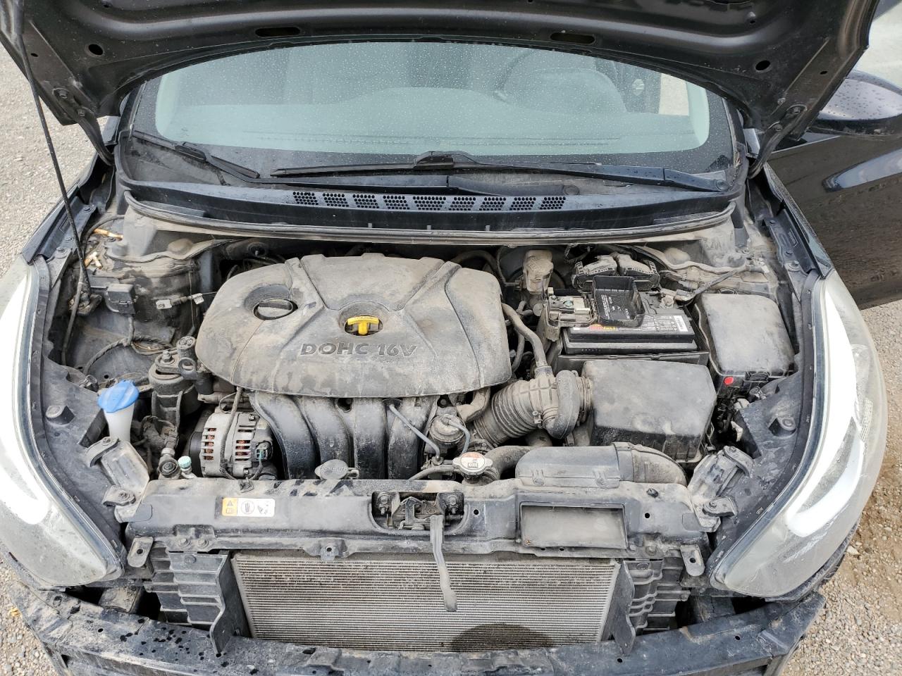 Lot #3208404703 2016 HYUNDAI ELANTRA SE