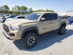 Top Destinations for Shipping Cars from the USA