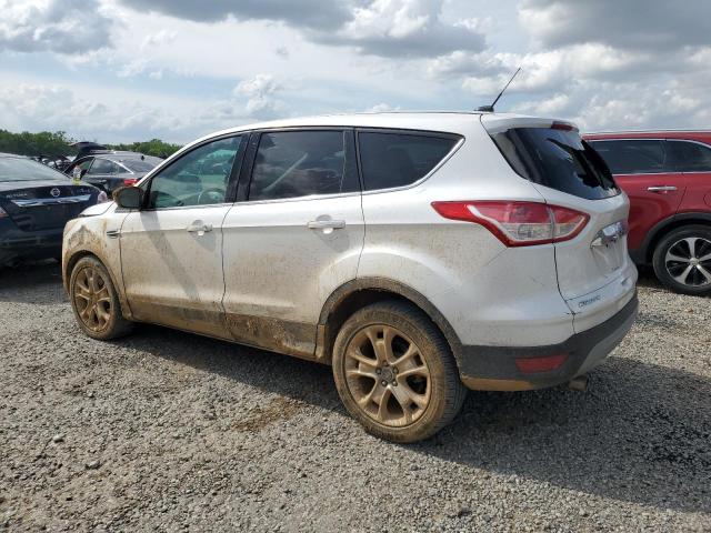 Vin: 1fmcu0h99dud40665, lot: 55130135, ford escape sel 20132