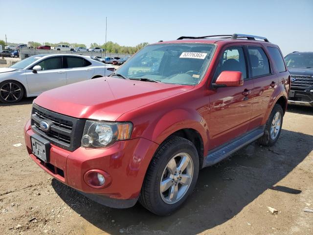 Vin: 1fmcu0egxckb41962, lot: 53706365, ford escape limited 2012 img_1