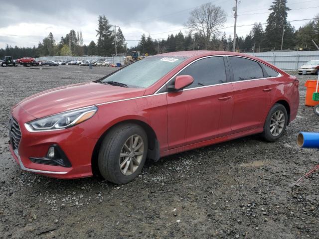 Vin: 5npe24af1kh815467, lot: 51816135, hyundai sonata se 2019 img_1