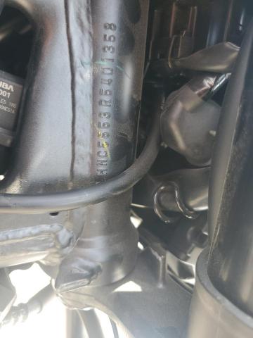 2024 HONDA CBF300 NA MLHNC5553R5401358
