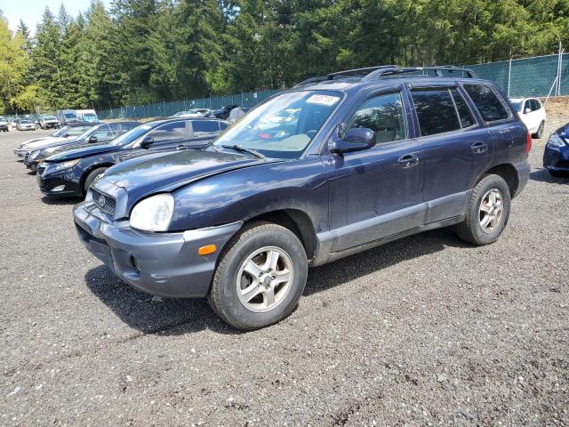 HYUNDAI SANTA FE G 2004 blue  gas KM8SC13D34U828462 photo #1