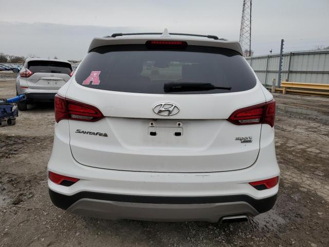 2017 HYUNDAI SANTA FE S - 5NMZUDLB3HH013661