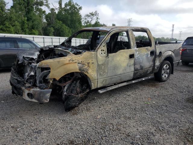 Vin: 1ftew1cm9bfb52562, lot: 55013935, ford f-150 supercrew 2011 img_1