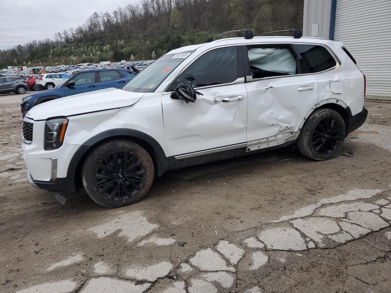 KIA TELLURIDE SX