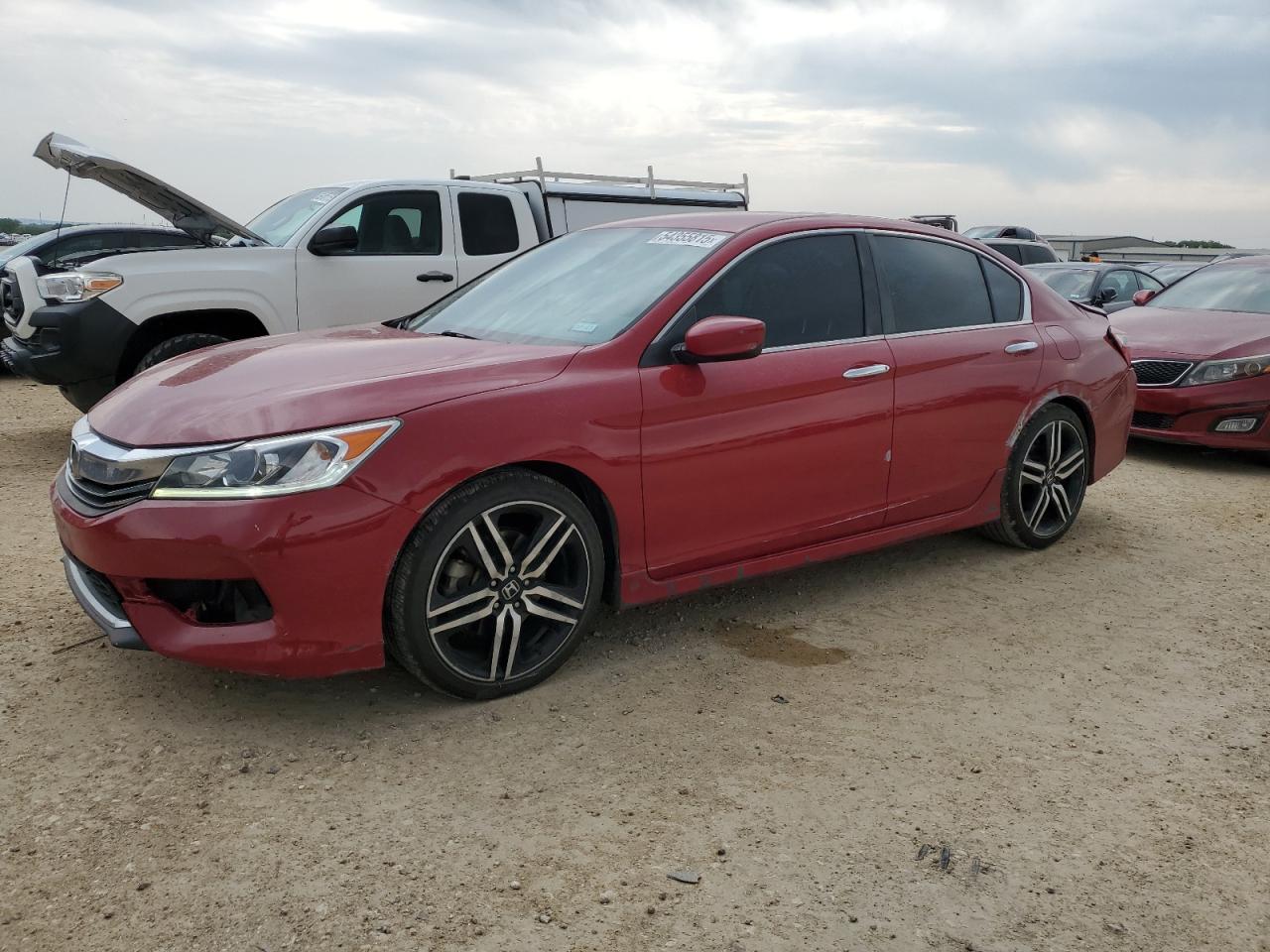 HONDA ACCORD SPORT SPECIAL EDITION