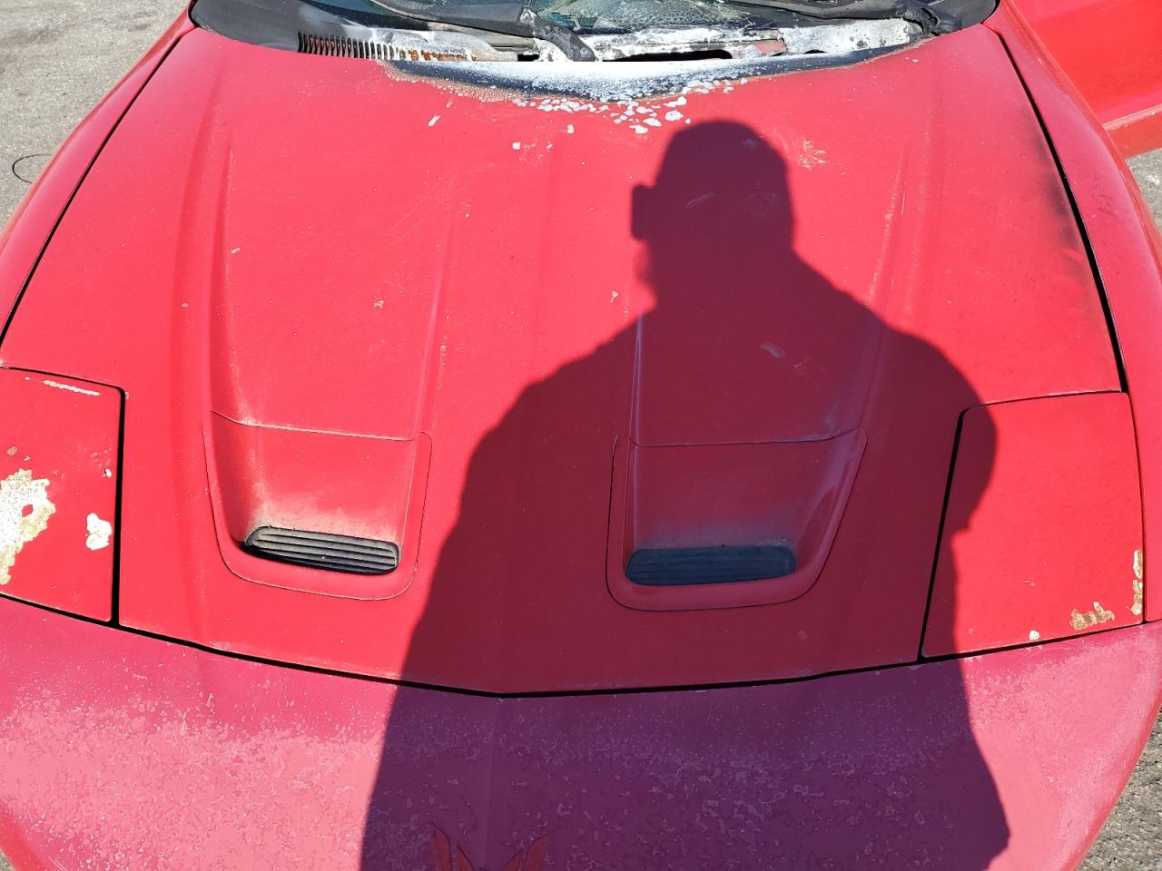 Lot #3279675012 1995 PONTIAC FIREBIRD