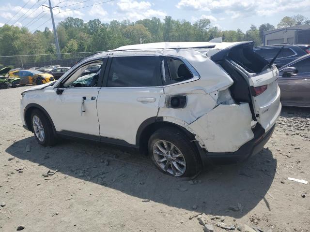 Vin: 2hkrs4h75rh481597, lot: 54177025, honda crv exl 20242