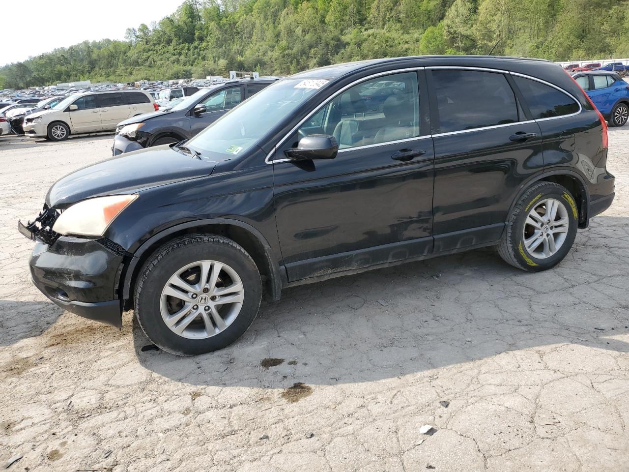 HONDA CR-V EXL