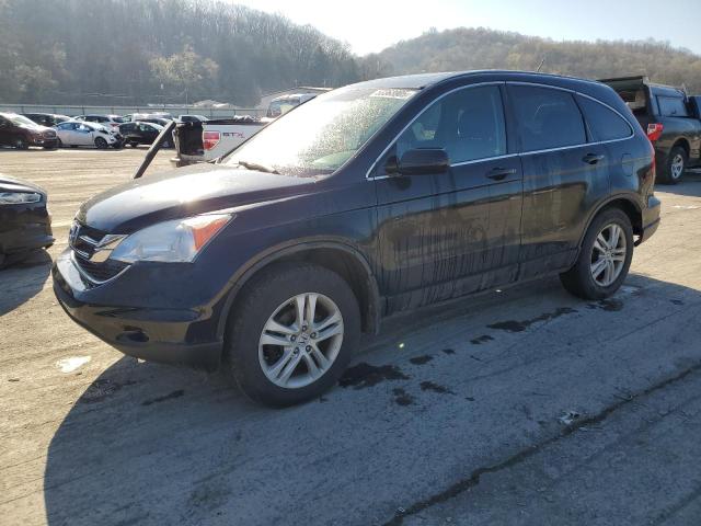Vin: 5j6re4h70al012726, lot: 53363905, honda crv exl 2010 img_1
