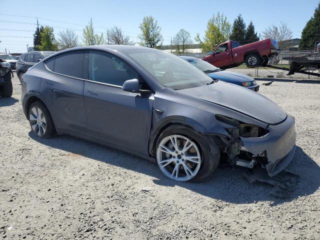 2023 TESLA MODEL Y #3291554917