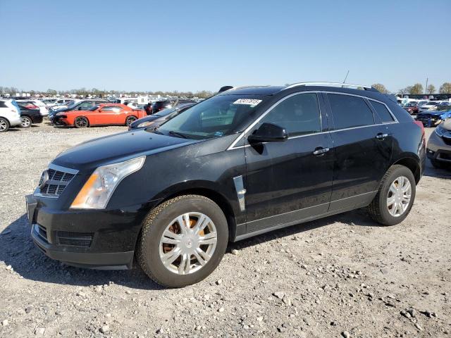 Vin: 3gyfndey8bs552949, lot: 52417815, cadillac srx luxury collection 2011 img_1
