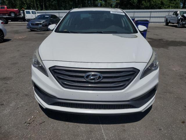 2017 HYUNDAI SONATA SPO - 5NPE34AF7HH509279