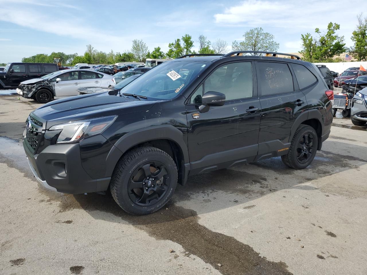 SUBARU FORESTER WILDERNESS