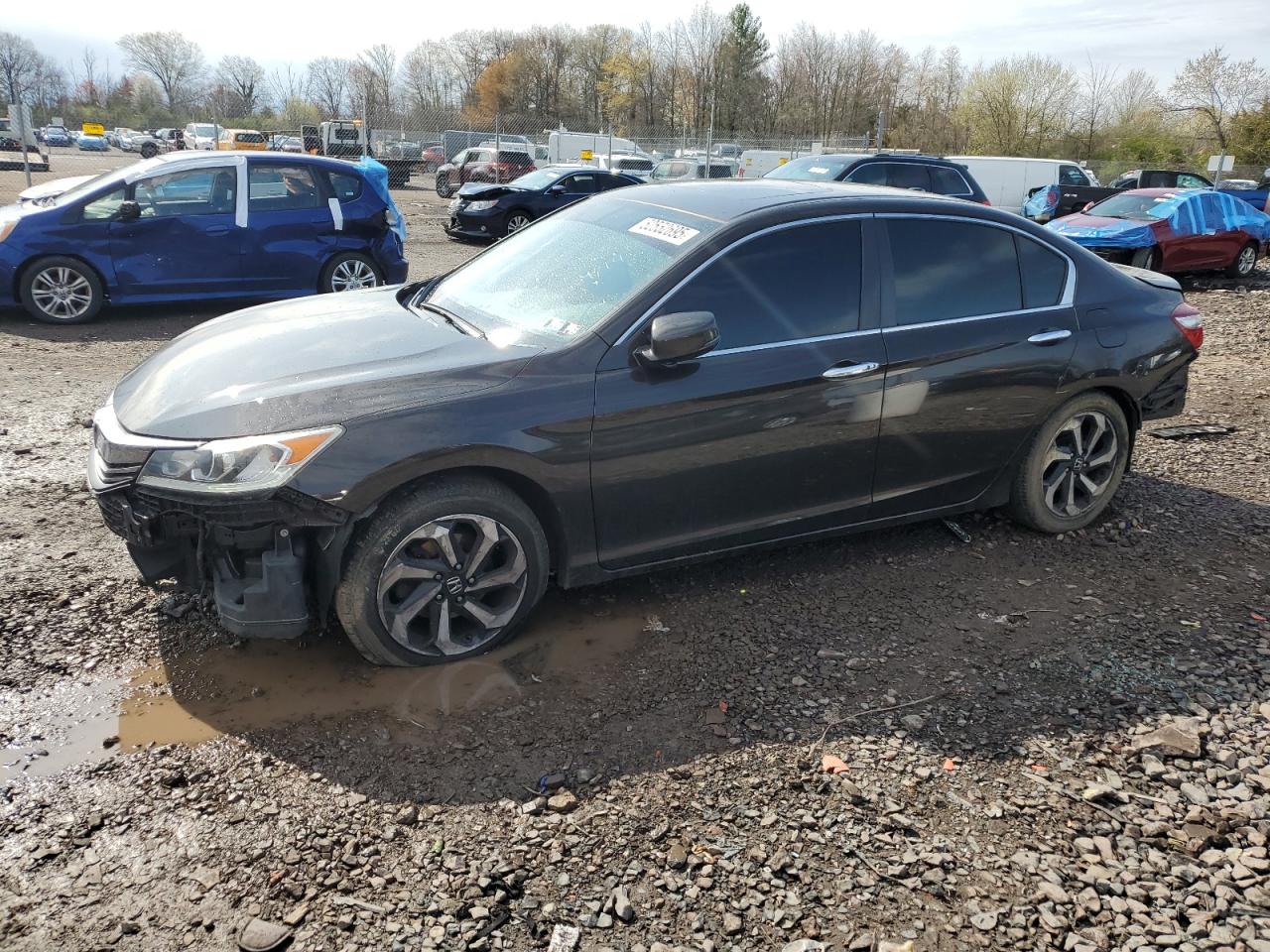 HONDA ACCORD EXL