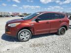 2015 FORD ESCAPE - 1FMCU0F77EUB21304