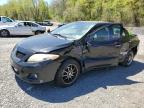 Top Destinations for Shipping Cars from the USA