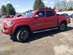 2020 TOYOTA TACOMA DOU - 5TFCZ5AN4LX231599