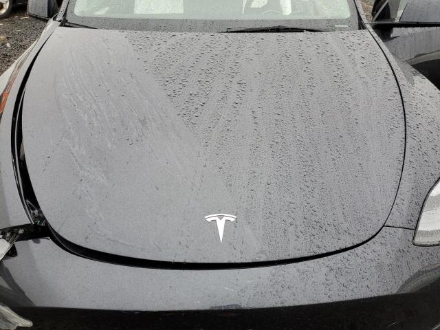 2025 TESLA MODEL Y - 7SAYGDEE1SA353779