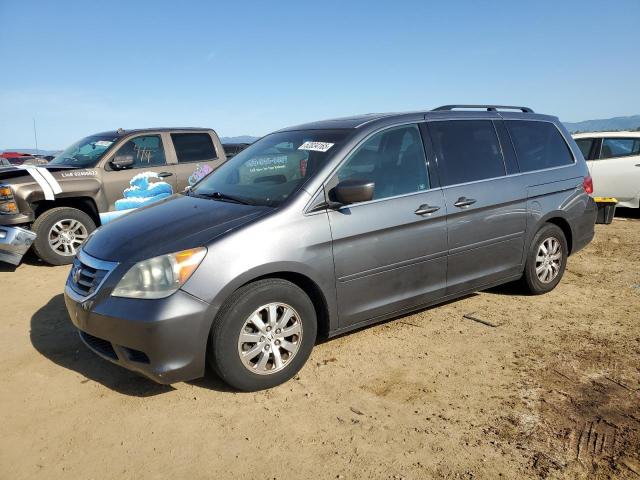 Vin: 5fnrl3h75ab071814, lot: 52034165, honda all models exl 2010 img_1