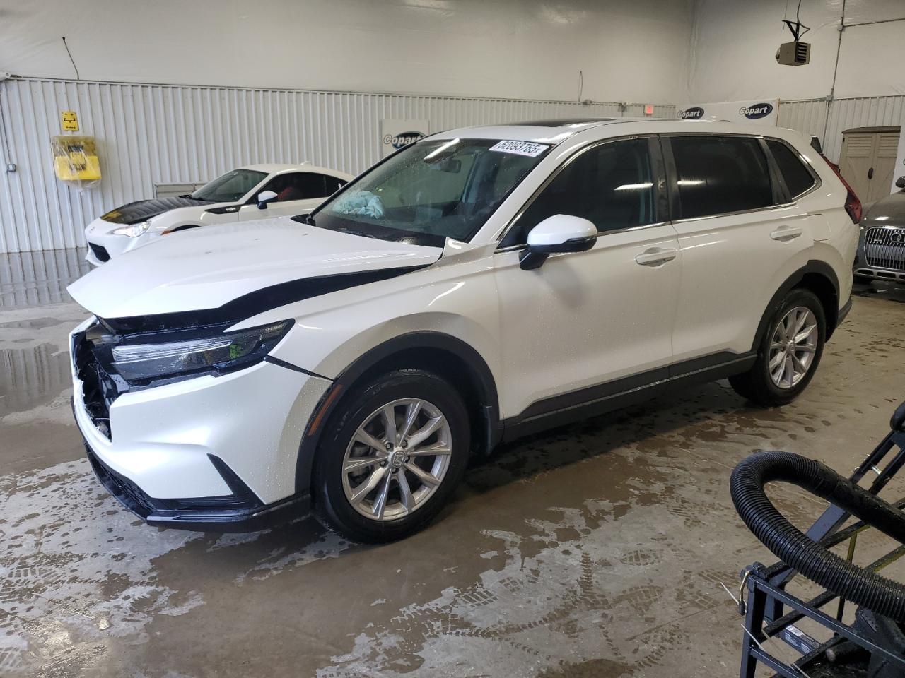 HONDA CR-V EX