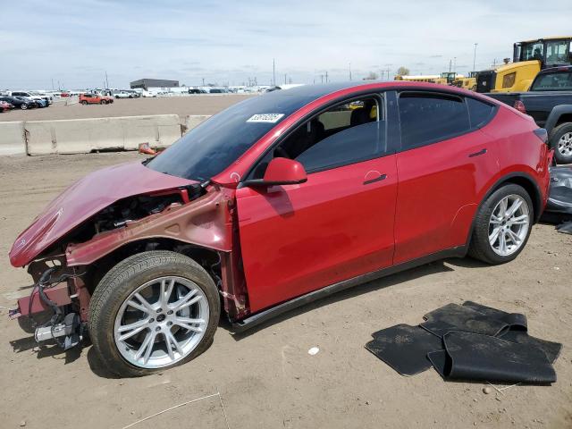 Vin: 7saygdee6pf788081, lot: 53818205, tesla model y 2023 img_1
