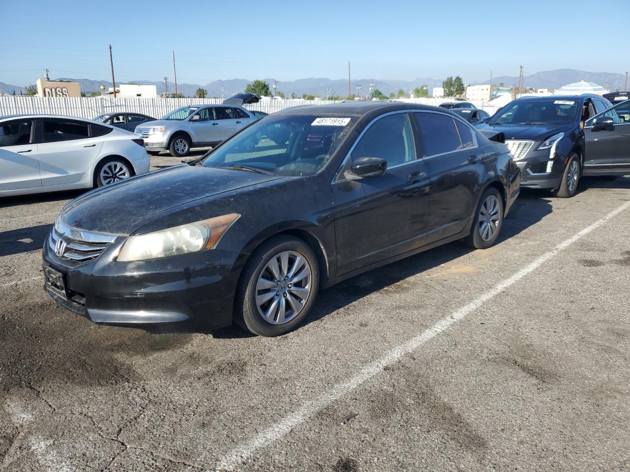 HONDA ACCORD EX