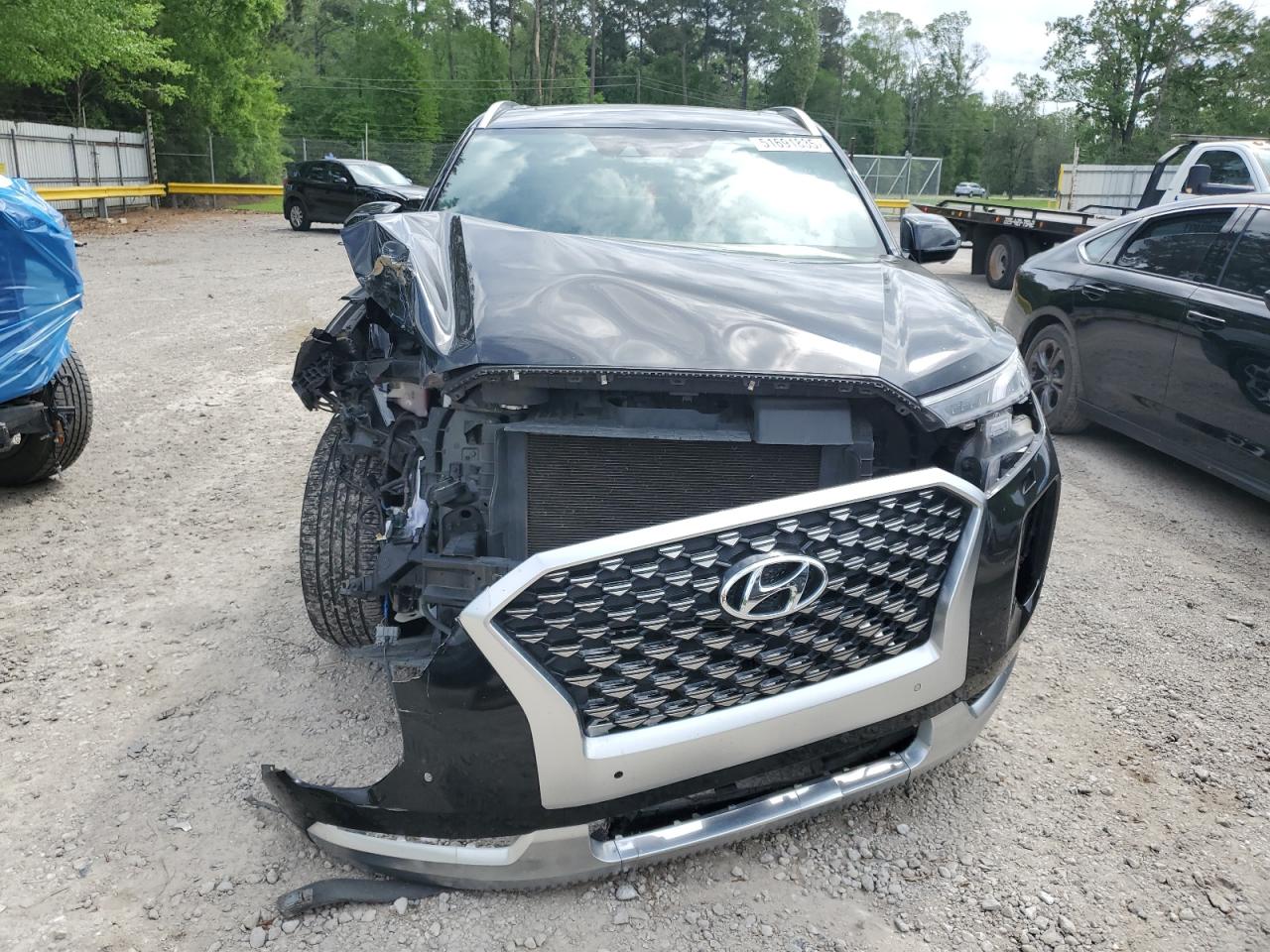 HYUNDAI PALISADE CALLIGRAPHY