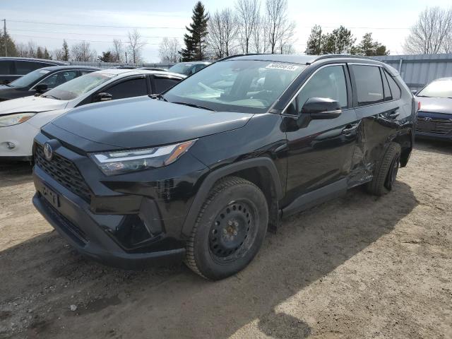 Vin: 2t3rwrfv0rw192087, lot: 50695615, toyota rav4 xle 2024 img_1
