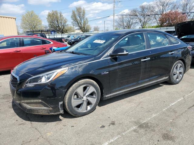 2016 HYUNDAI SONATA HYB - KMHE34L10GA017082