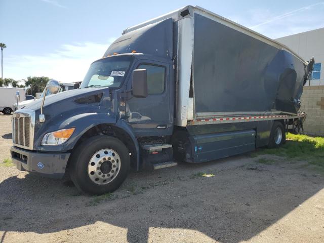 Global Auto Auctions: 2023 PETERBILT 536